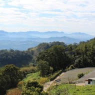 鍾鼎山林 雲海景觀咖啡廳・老薑蒸足浴