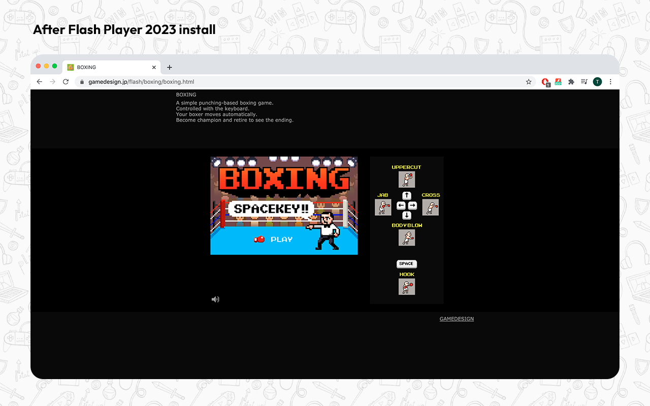 Flash Player for Web (update 2023) Preview image 5