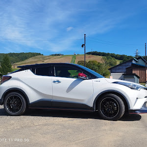 C-HR ZYX10