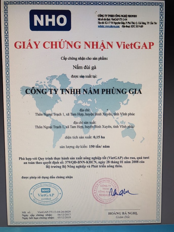 Nấm việt