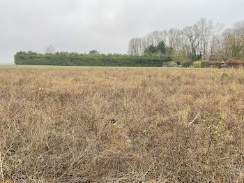 terrain à Villemereuil (10)