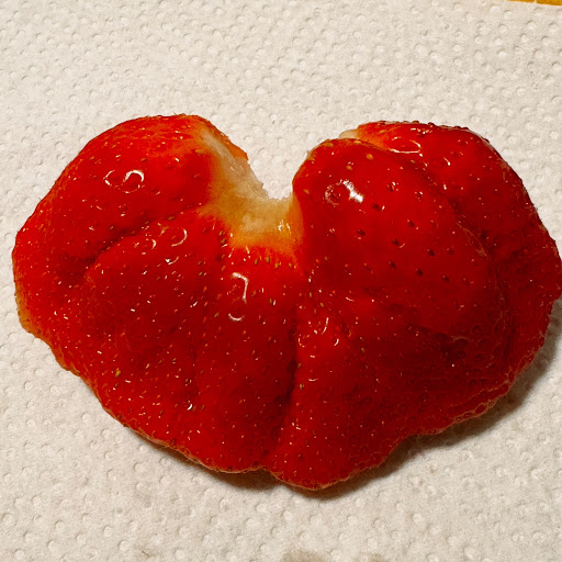 つ ぐ ちゃんのプロフィール画像