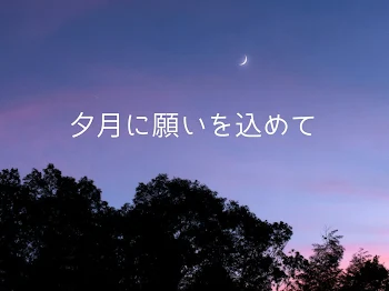 夕月に願いを込めて