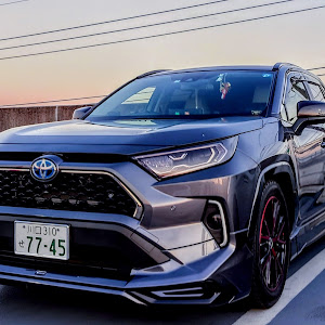 RAV4 AXAH54