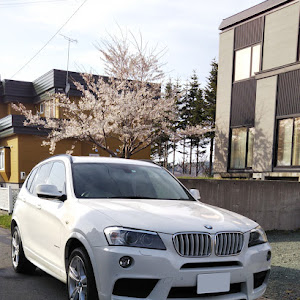 X3 xDrive 20d