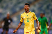 Bafana Bafana coach Hugo Broos says Themba Zwane (pictured) is one of the best players he has coached.