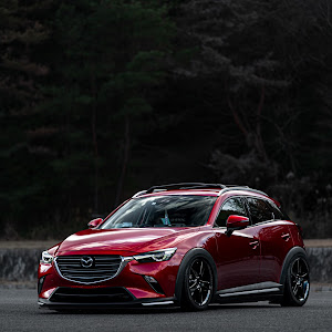 CX-3 DKEFW