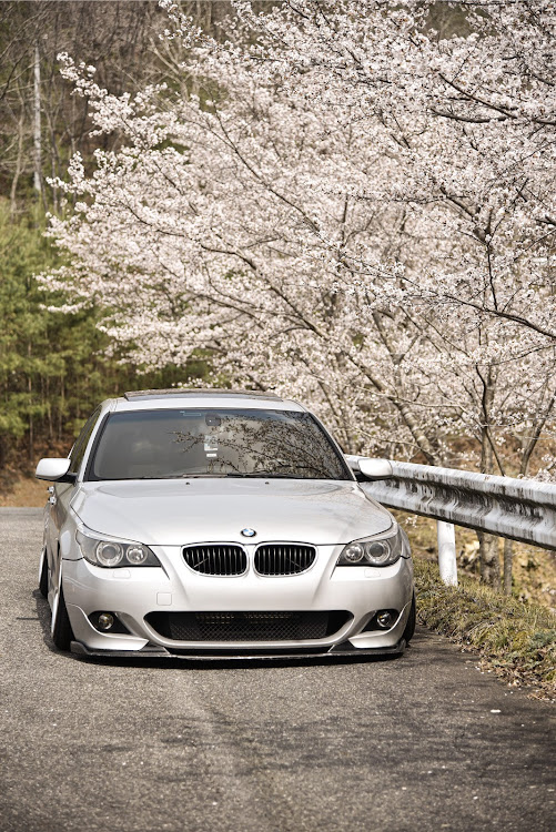 5シリーズ セダンのBMW・E60・生脚・車高短は性癖・桜と愛車に関するカスタム事例の投稿画像1枚目