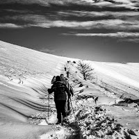 Al passo del guidon  di 