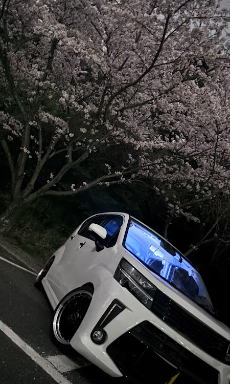 ムーヴカスタムの桜と愛車・サクラと愛車・桜シーズン開幕に関するカスタム事例の投稿画像3枚目