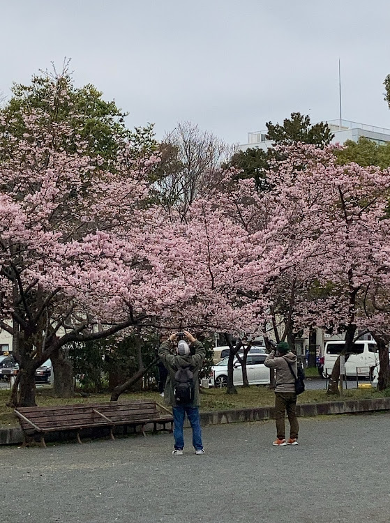 の投稿画像1枚目