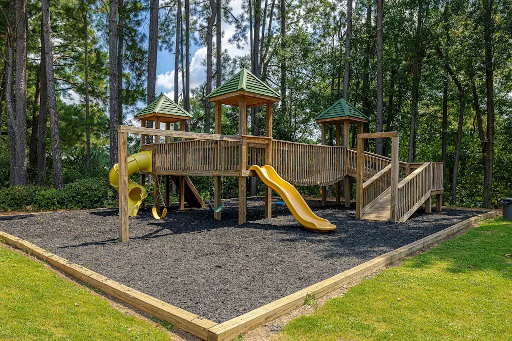 Community wooden playground with ramp, two bright colored slides, two swings, dark mulch