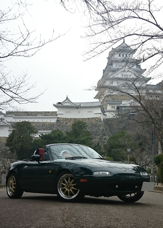 ロードスターの眼力選手権・菜の花と愛車・行き当たりバッタリぱぱいやさん大ちゃん上陸記念ツーリング🎶🚗💨🎶・諭鶴羽ダム花見ツーリング告知に関するカスタム事例の投稿画像38枚目