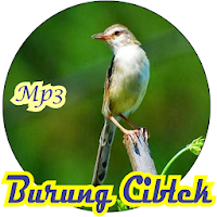 Suara Masteran burung Ciblek Gacor offline