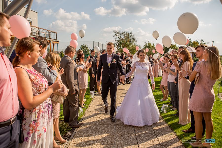 Wedding photographer David Grégr (digi). Photo of 2 February 2018