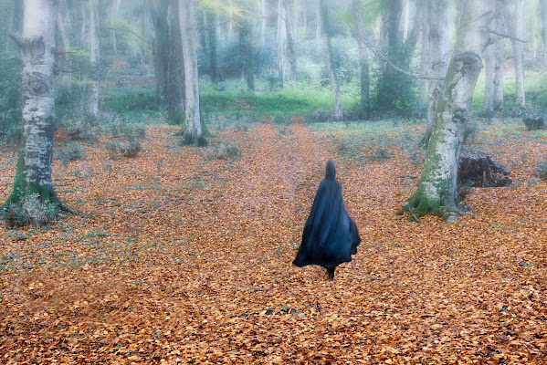 Capuccetto nero nel bosco di Diana Cimino Cocco