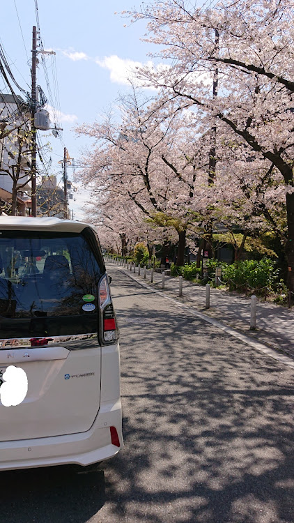 の投稿画像2枚目