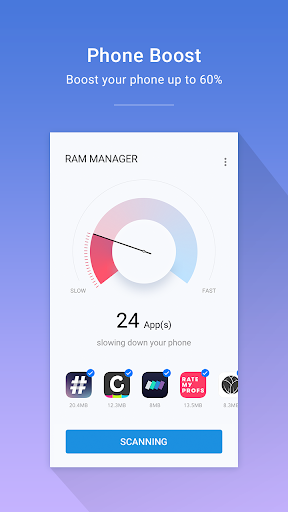 RAM Manager