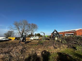 Trees removal Stourbridge  album cover