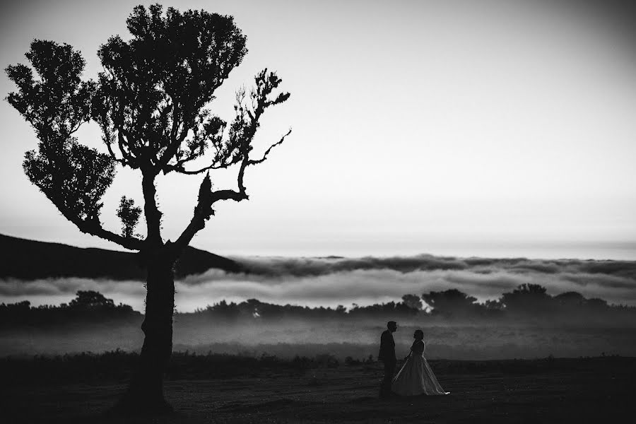 Vestuvių fotografas Lauro Santos (laurosantos). Nuotrauka vasario 1