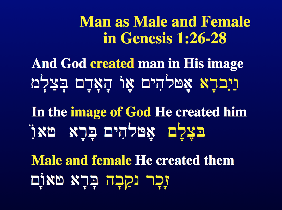 Man as Male and Female in Genesis 1:26-28