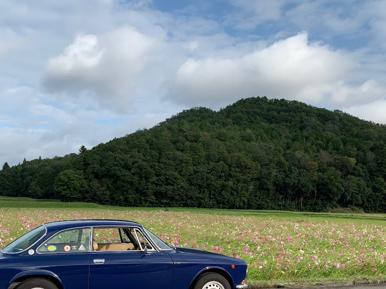 ジュリアのコスモス畑・ドライブ・洗車・グルメに関するカスタム事例の投稿画像4枚目