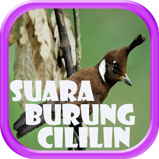 App Insights Kumpulan Suara Burung Cililin Apptopia