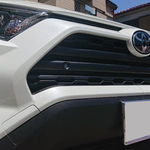 RAV4 MXAA54