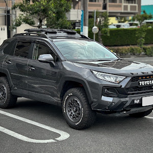 RAV4 MXAA54