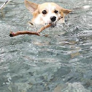 水源地餐廳