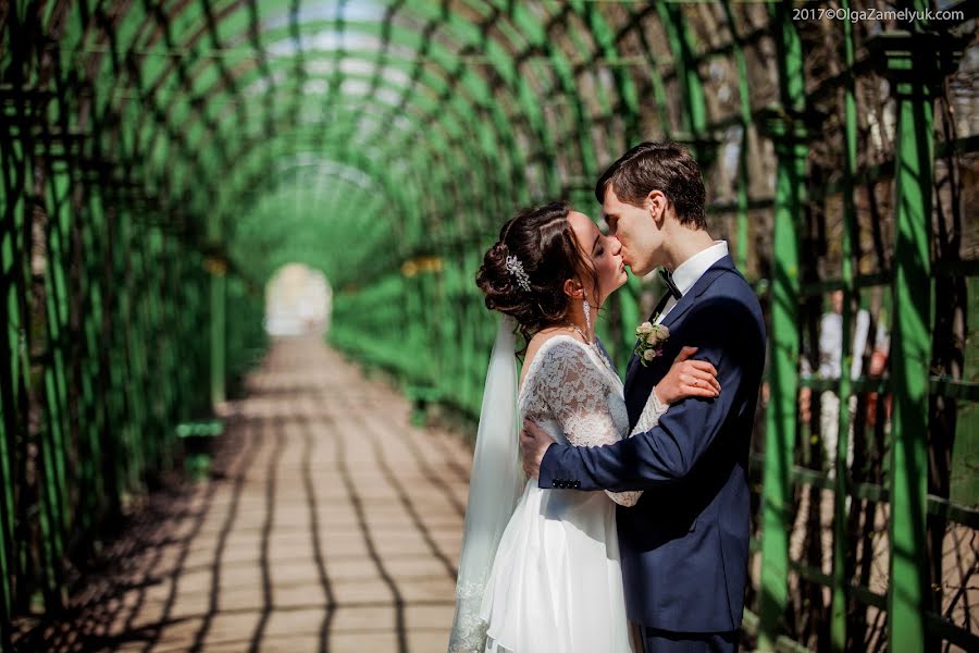 Fotógrafo de bodas Olga Zamelyuk (tigra). Foto del 13 de julio 2017