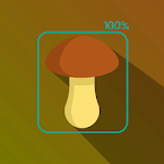 Cover Image of Descargar Mushroom Identifier - detection and classification  APK