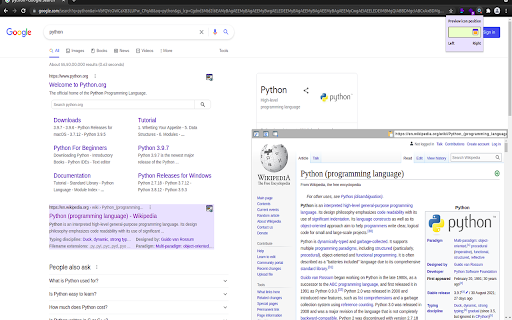 Search result previewer