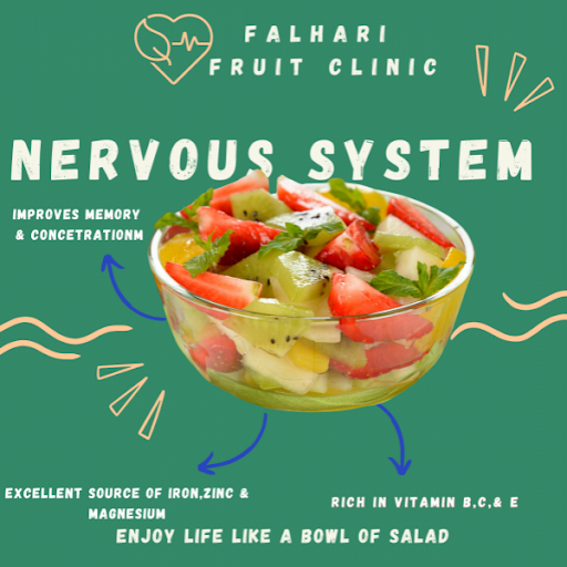 Fruit Salad For Nervous System