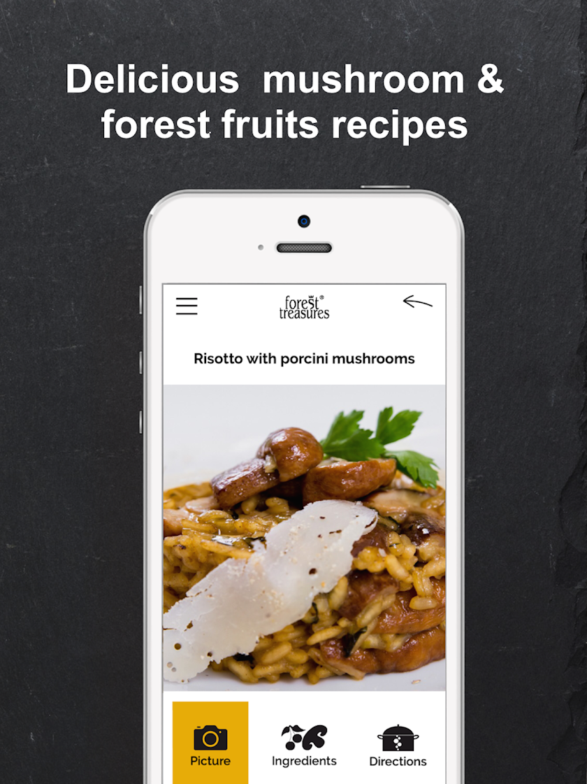 Forest Treasures Screen 3