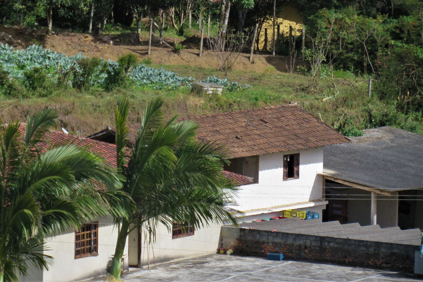 Fazenda / Sítio à venda em Stucky, Nova Friburgo - RJ - Foto 10