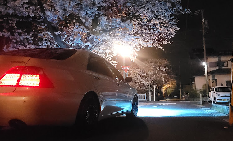 クラウンロイヤルのこれからも相棒とともに･･･・4月もよろしくお願い致します🌸・サクラと愛車・桜とコラボ・愛車が一番に関するカスタム事例の投稿画像1枚目