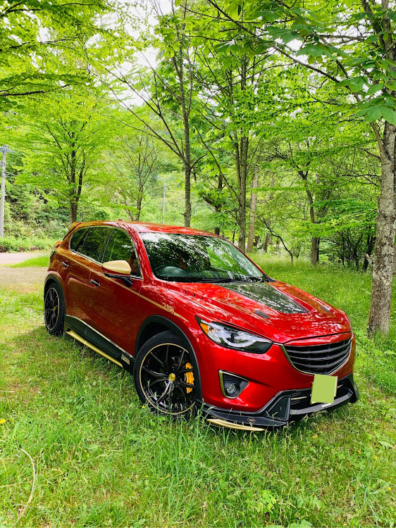 CX-5の2020ベストショット・目指せPickUpCars・6月エントリー・新緑のせせらぎ街道・木曽三川公園MTに関するカスタム事例の投稿画像1枚目