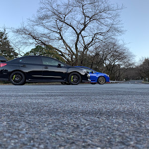 WRX STI