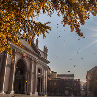 in quel di vercelli  di 