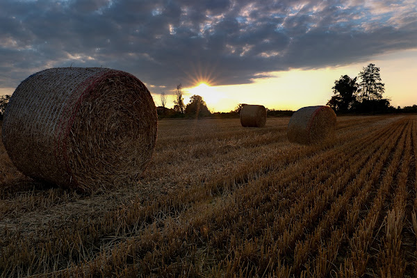 tramonto sul campo di angart71