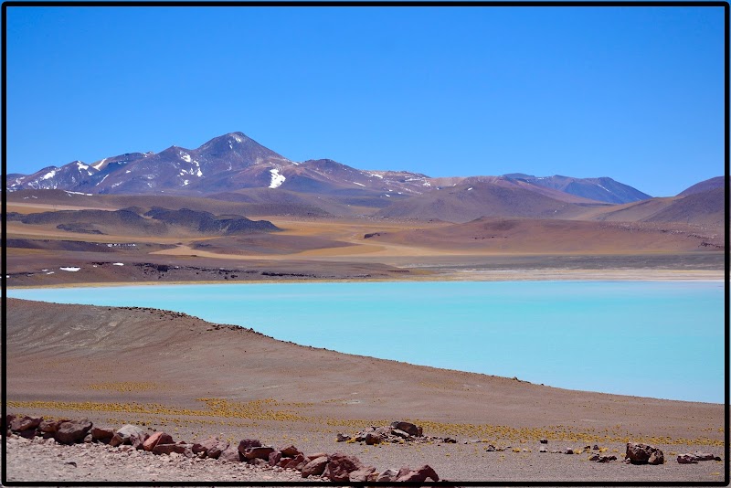 LAGUNA CHAXA-LAGUNAS ALTIPLÁNICAS-PIEDRAS ROJAS-LAGUNA TUJAJTO - DE ATACAMA A LA PAZ. ROZANDO EL CIELO 2019 (34)