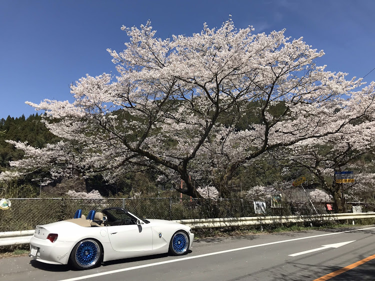 Z4 ロードスターのドライブに関するカスタム事例の投稿画像3枚目