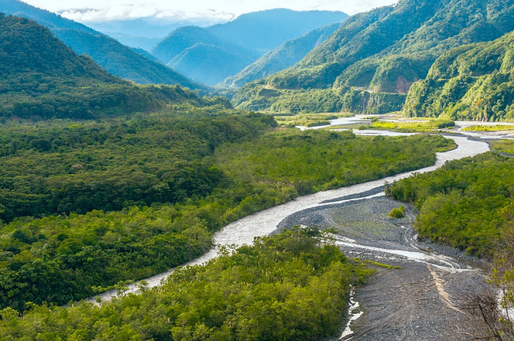 Amazon rainforest. Picture: ISTOCK