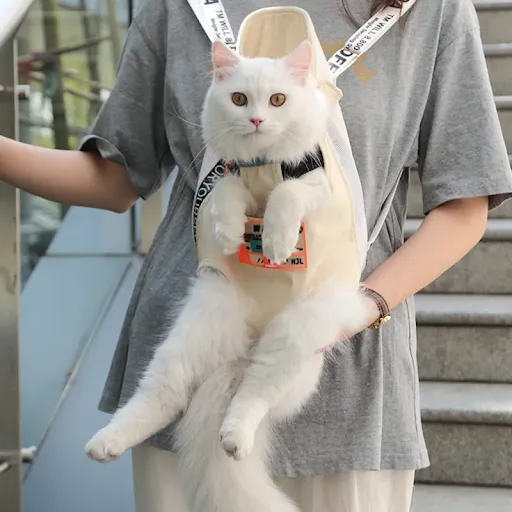 images slider number - 3