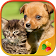 Dogs vs Cats icon