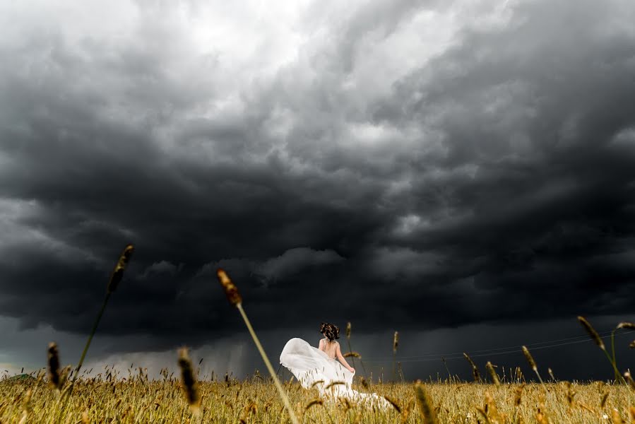 Fotógrafo de casamento Aleksey Laguto (laguto). Foto de 22 de outubro 2018