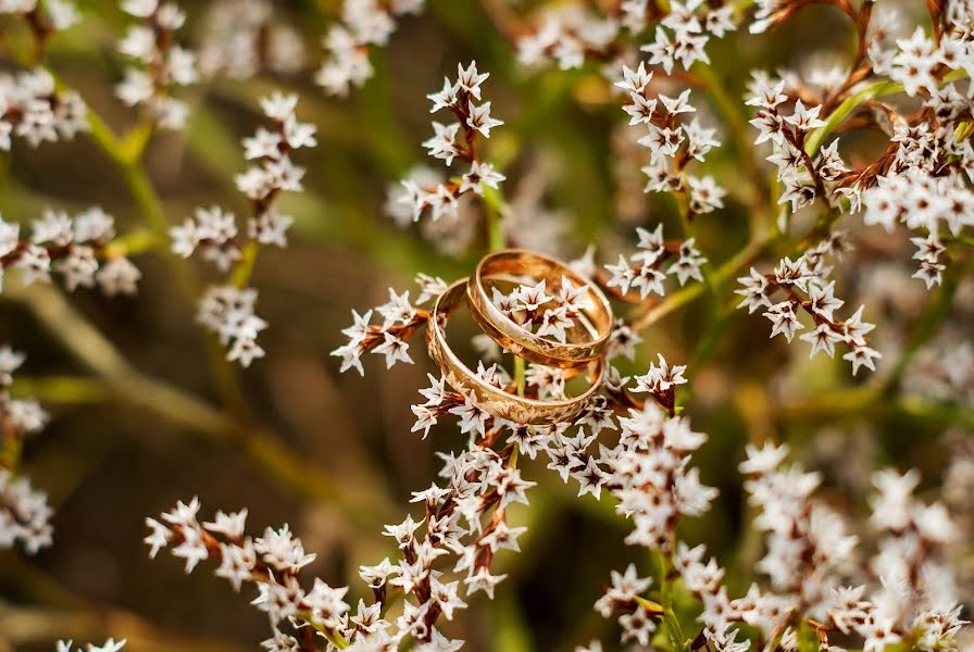 Fotógrafo de bodas Alina Tkachenko (aline27). Foto del 29 de septiembre 2016