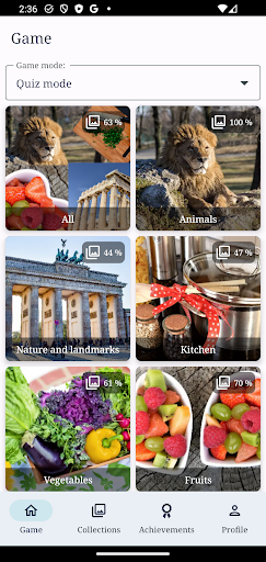 Screenshot Snap Picture Guess: Quiz
