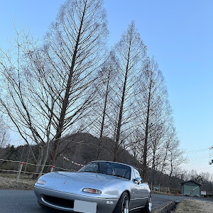 ロードスター NA6CE